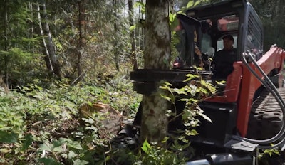The grapple on Dymax’s Forestry Grapple Tree Shear attachment holds the tree while the shear cuts through it.
