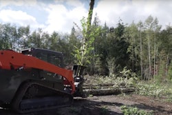 Dymax grapple tree shear 3