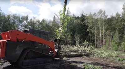 The tree is held in vertical position until it is released by the operator.