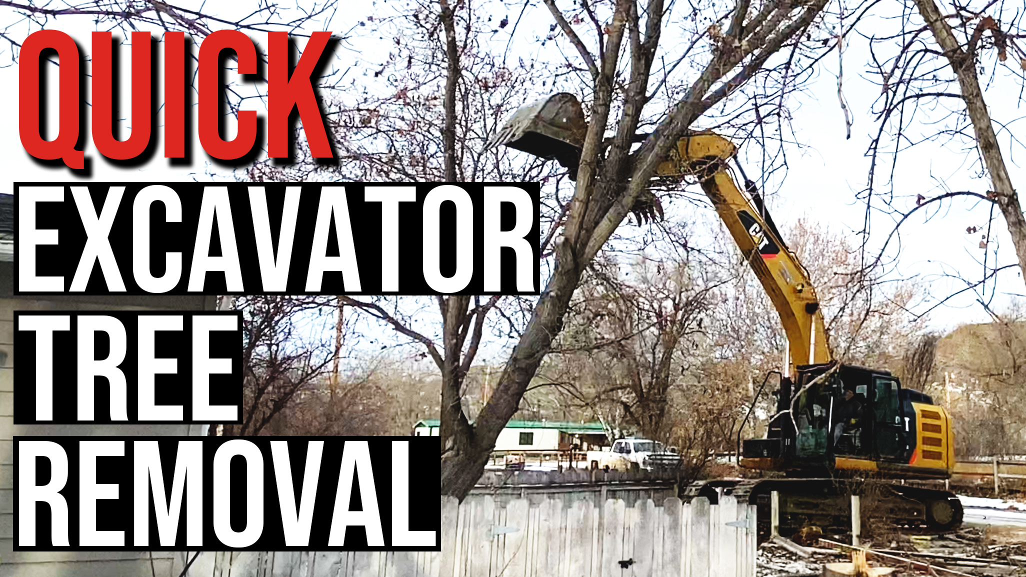 Muggli Tree Removal thumb