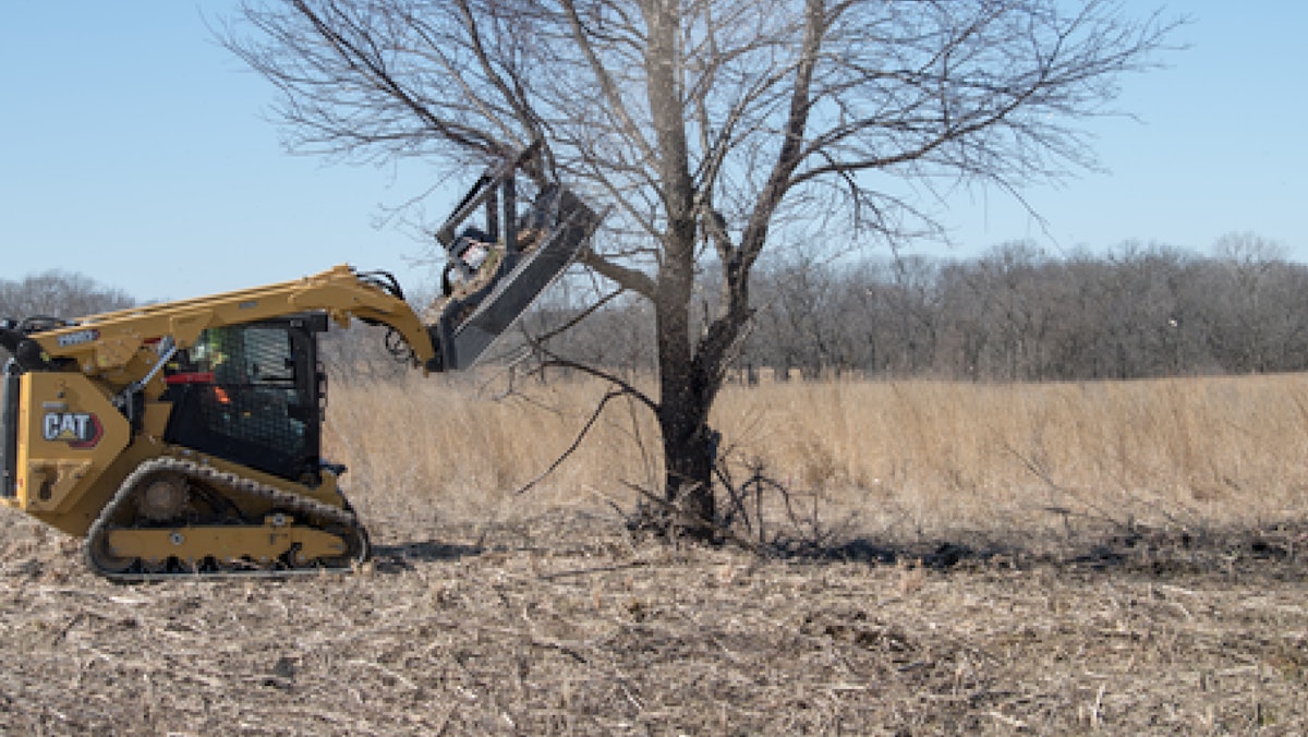 Paladin FD60 mulcher for skid steers fells trees up to 14”, image size:1200x676