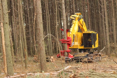 Komatsu XT445L-5 feller buncher