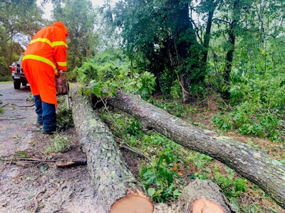 Louisiana DOTD worker clearing down trees from road. Photo credit: Louisiana DOTD