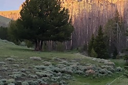 Shoshone National Forest