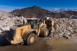 Cat-982-3.jpg