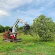 Werk-Brau compact excavator rake holding tree
