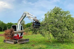 Werk-Brau compact excavator rake holding tree