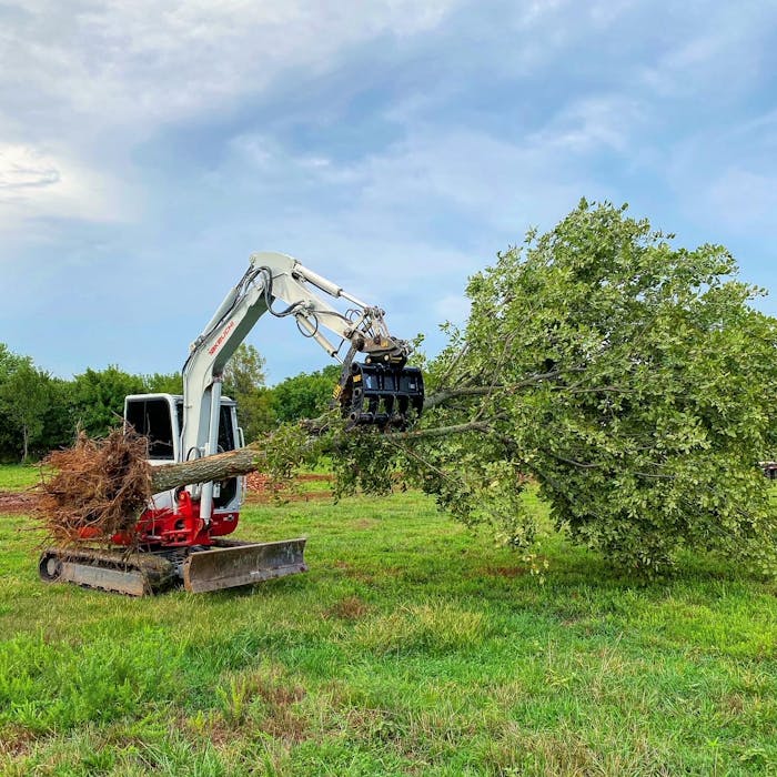 Werk-Brau compact excavator rake holding tree