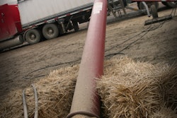 Grain auger in use