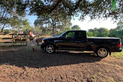 2000 Ford F-150 Harley-Davidson pickup