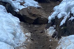 boulder over U.S. 12 White Pass Washington State