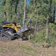 ASV CTL cutting down tree with Loftness Bad Ax mulcher attachment.
