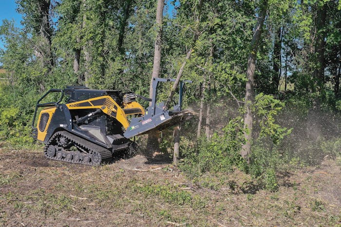 ASV CTL cutting down tree with Loftness Bad Ax mulcher attachment.