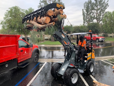 Giant G2200 compact wheel loader with grapple bucket loads logs into truck bed