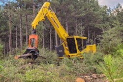 Komatsu PC230F-11 forestry- processor grabbing logs in cleared forest section