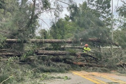 Downed pine trees block road in Sarasota Florida Hurricane Ian worker in orange hardhat and yellow vest among them