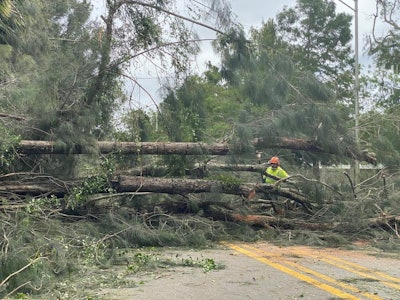 Downed pine trees block road in Sarasota Florida Hurricane Ian worker in orange hardhat and yellow vest among them