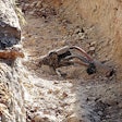 DIRT report utility strikes stock photo open high voltage cable in dirt trench