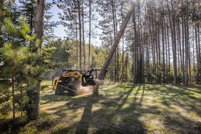 ASV mulcher on compact track loader cutting pine tree in woods