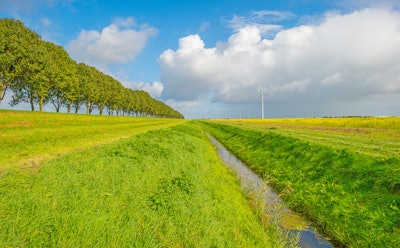 stock image narrow ditch with water in lush green meadow beside row of trees