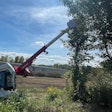 compact track loader Fecon saw attachment trimming tree