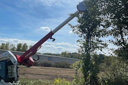 compact track loader Fecon saw attachment trimming tree