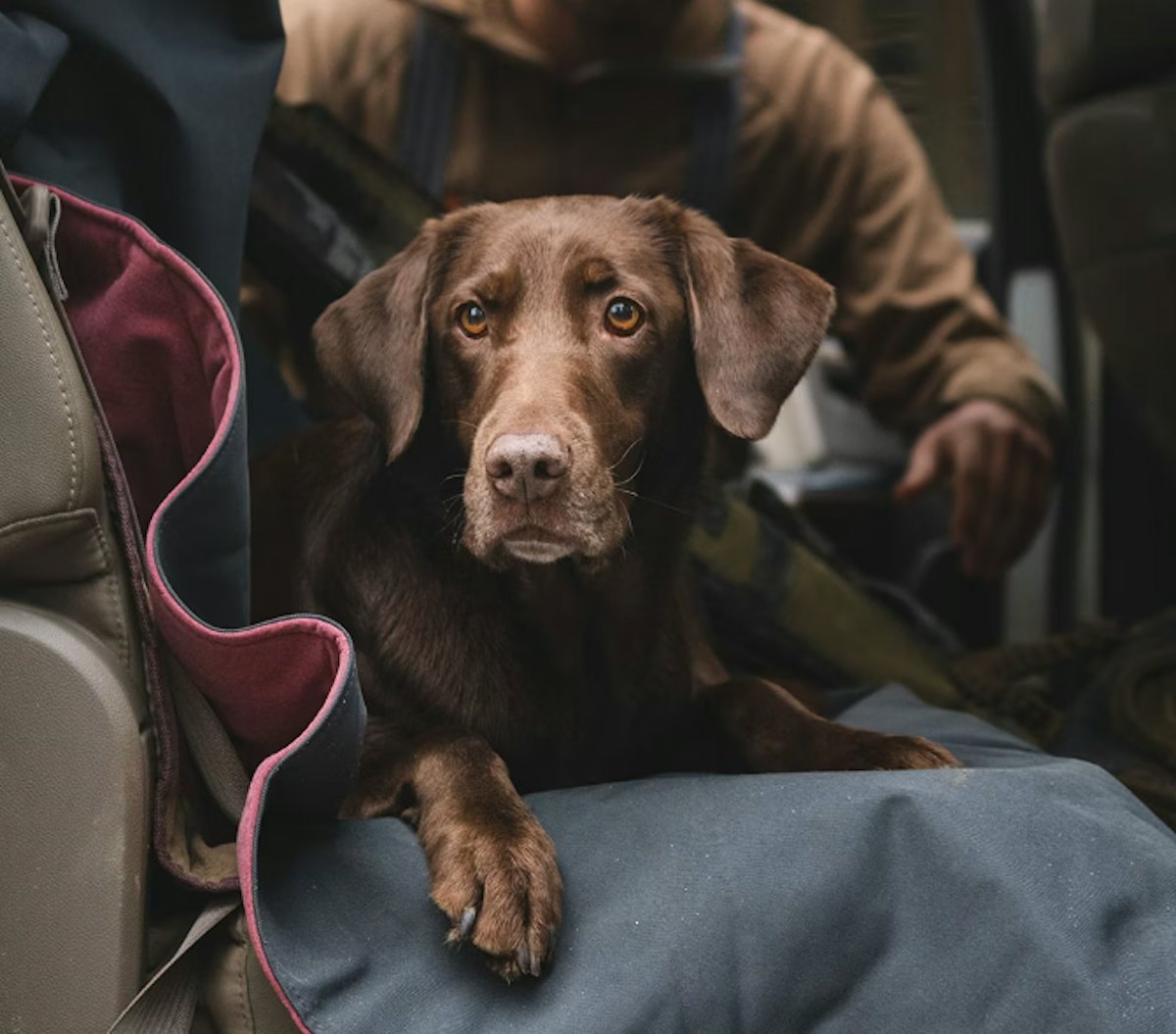 Yeti lowlands blanket stores sales