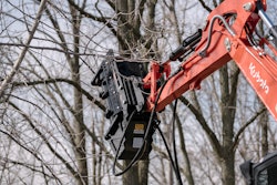 FX26 forestry mulcher on a kubota mini excavators