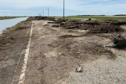 trees block road in east texas