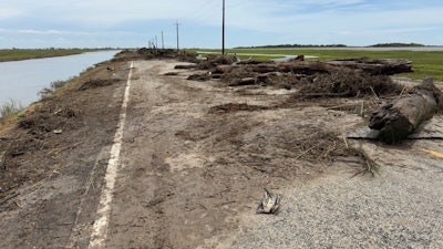trees block road in east texas