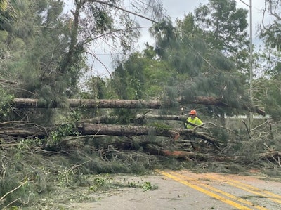 man works to clear several trees blocking a road