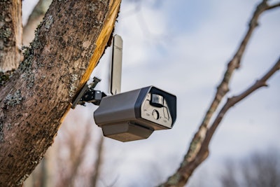 tactacam defend camera on tree