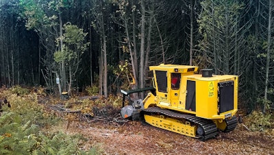 tigercat 470 mulcher working in woods