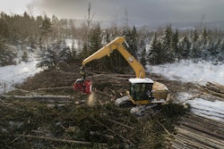 Cat FM528 GF/LL Forestry Excavator with grapple attachment moving logs