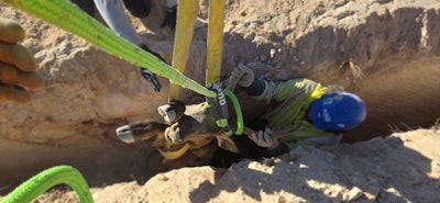 elk trapped in ditch in arizona raised to safety with vehicle straps connected to excavator