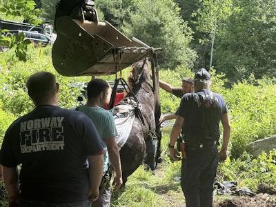 Horse Excavator Rescue 2