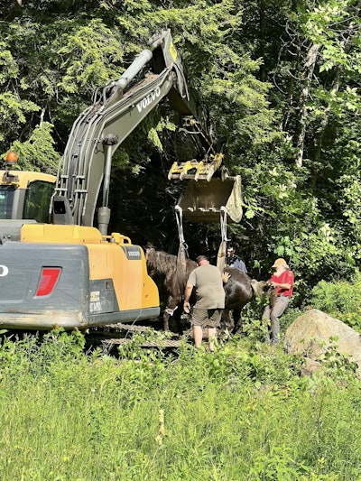 Horse Excavator Rescue 3