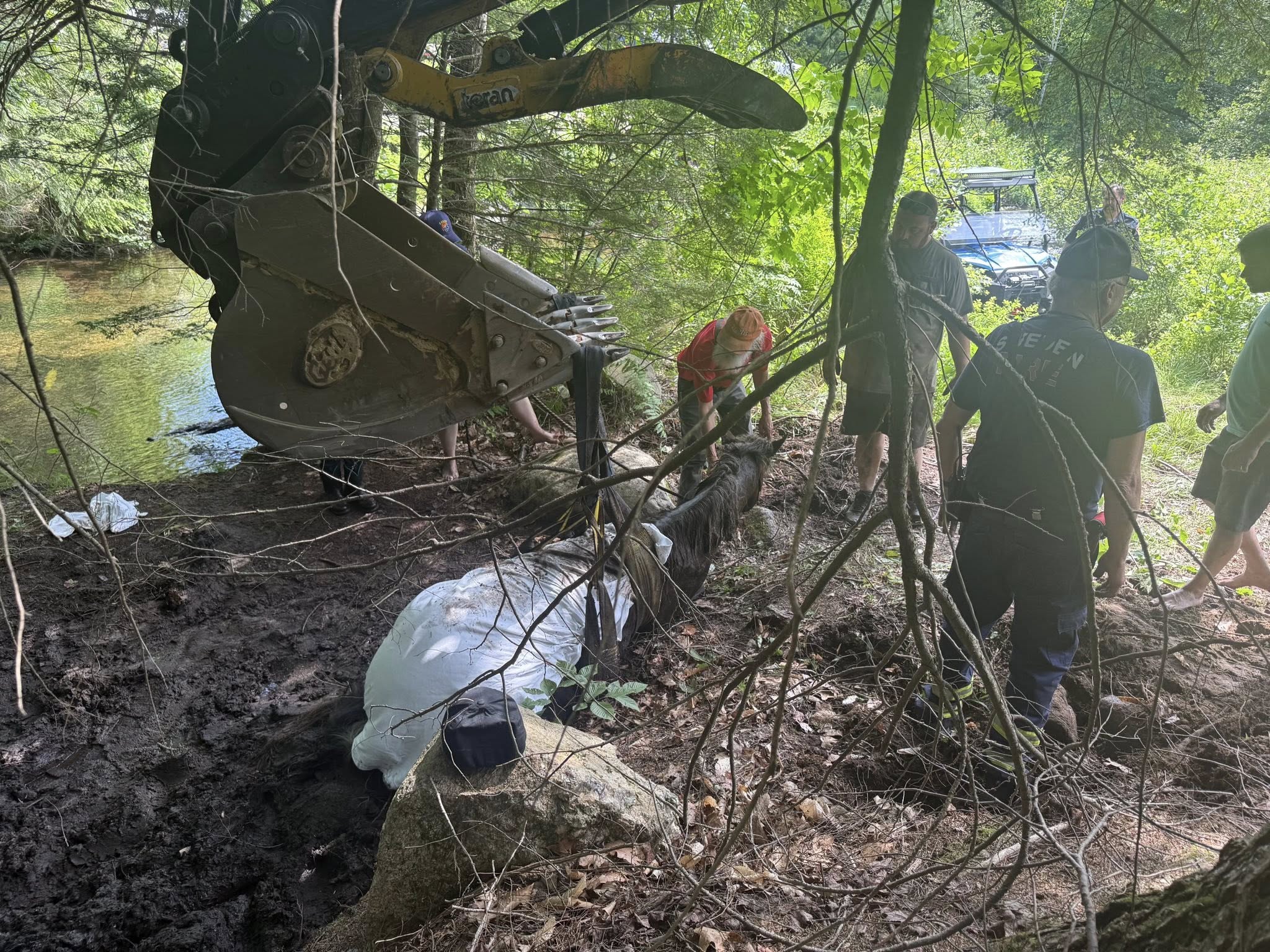 Rescuers work to remove Dancer the horse from a mud hole in Maine.