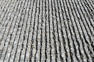 Some tines on recent concrete pours in Indiana are exhibiting early deterioration, seen here.