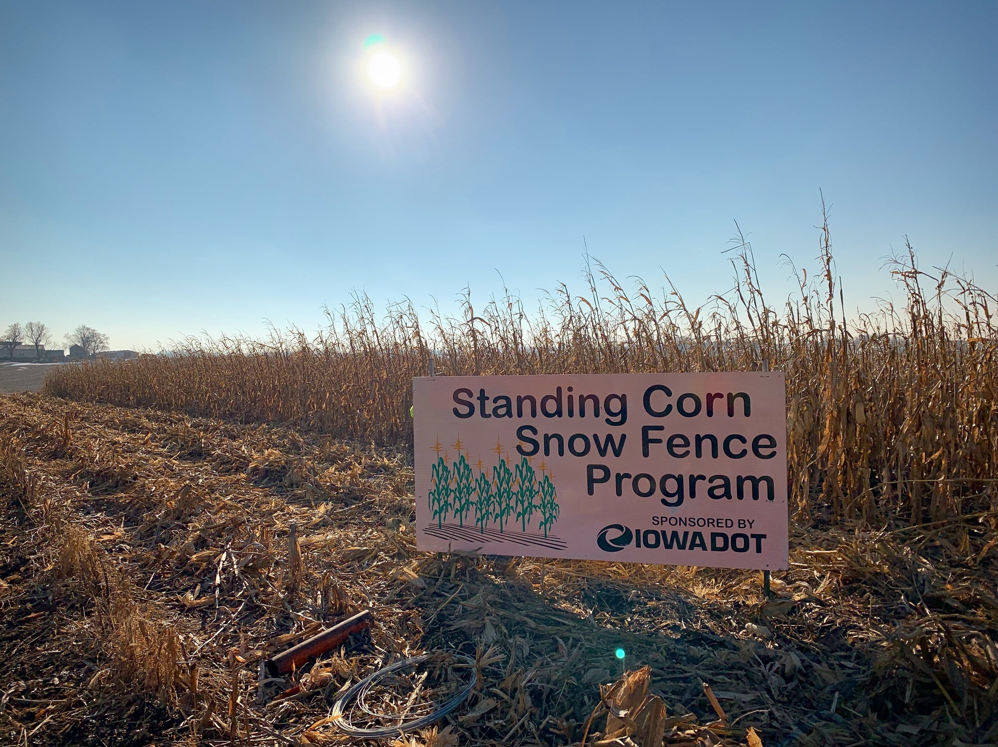 An official Iowa DOT standing corn snow fence.