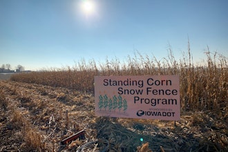 An official Iowa DOT standing corn snow fence.