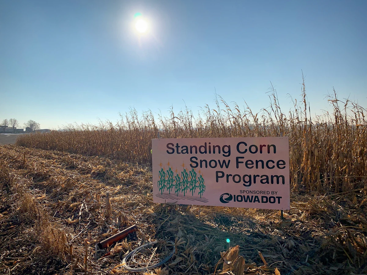 Iowa DOT Pays Farmers to Protect Roads from Snowdrifts with Corn