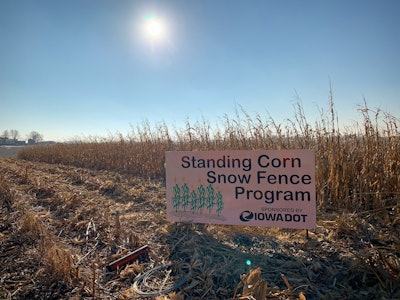An official Iowa DOT standing corn snow fence.