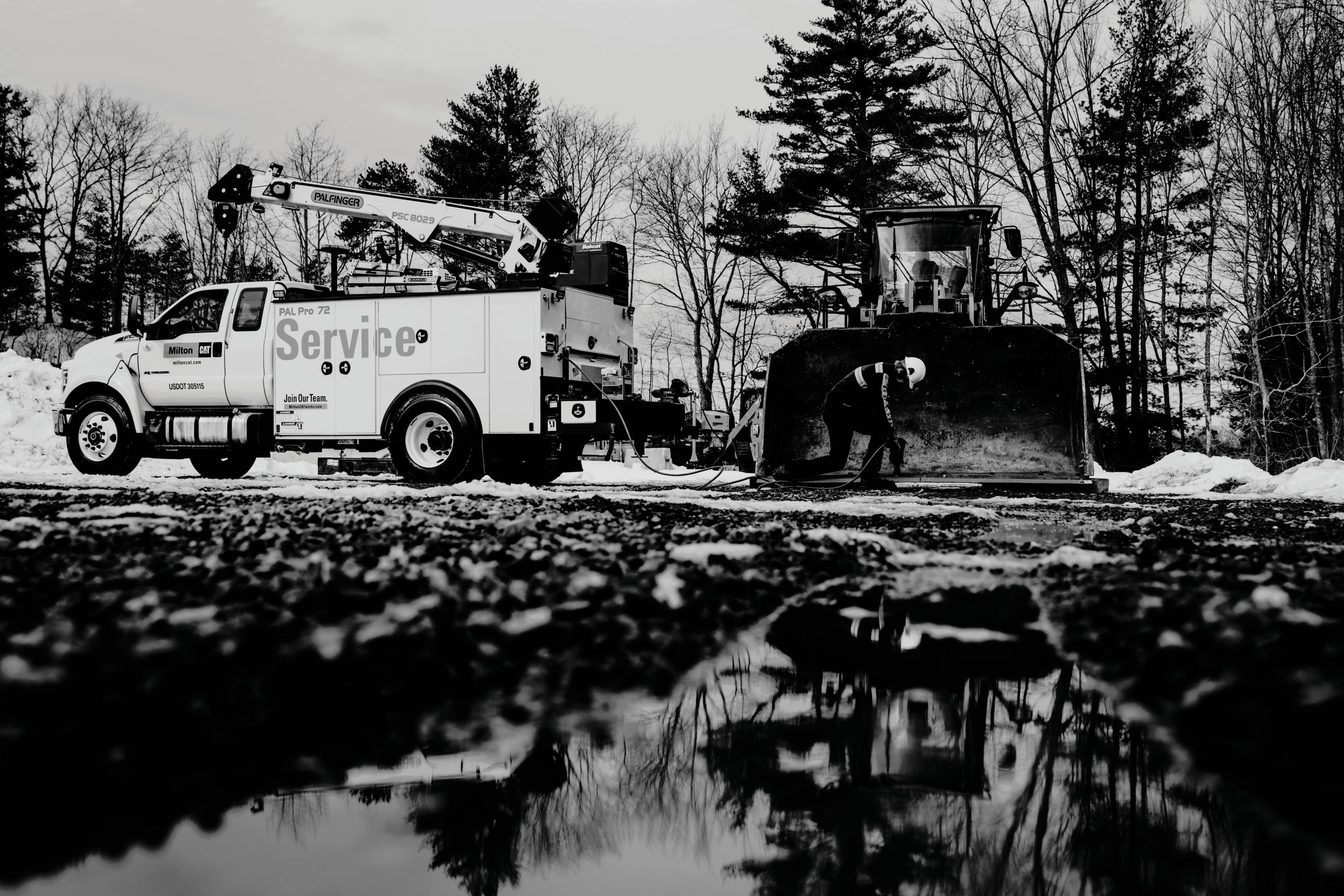 Cat Cva Cm20251203 1aca5 63e10