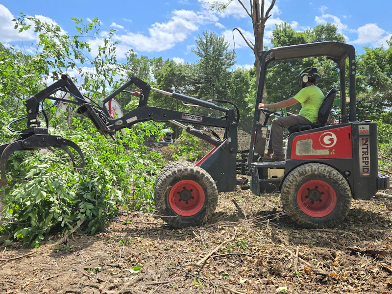 Interpid Tree Machine Compact Wheel Loaders: Buyer's Guide 2025-26 | Equipment World