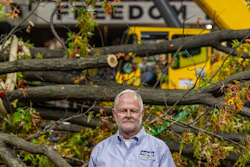 Mature professional standing amid fallen trees near yellow construction equipment