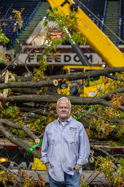 Mature professional standing amid fallen trees near yellow construction equipment
