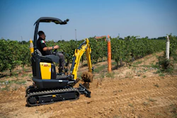 Operator using yellow and black JCB mini excavator in vineyard with rows of grapevines and support posts