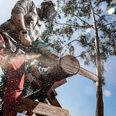 Wooden chainsaw sculpture of a person's head using a Makita chainsaw among eucalyptus trees