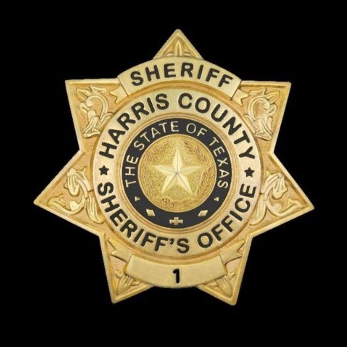 Hcso Sheriff Shield